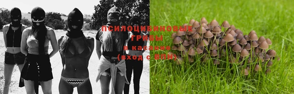 MESCALINE Баксан